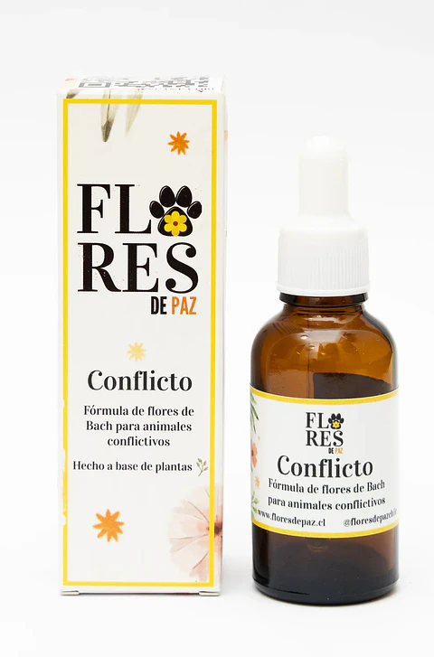 Conflicto - Flores de Paz