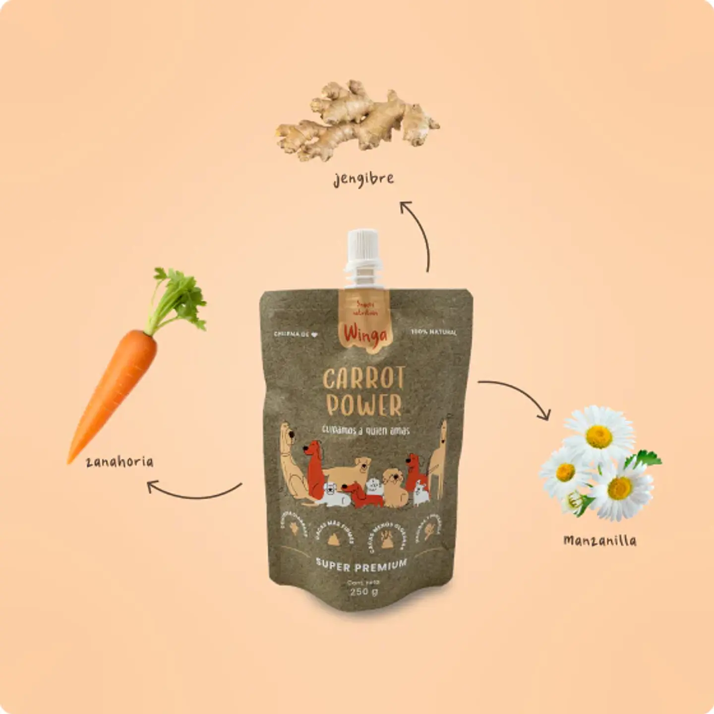 Snack Untable para Perros Winga 4
