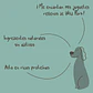 Paté para Perros Winga - Miniatura 3