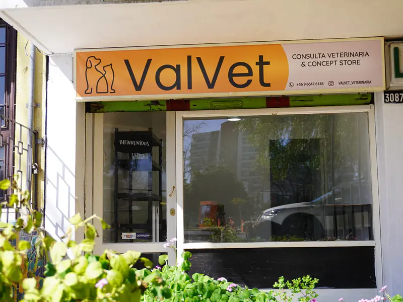 Boutique de Esenciales