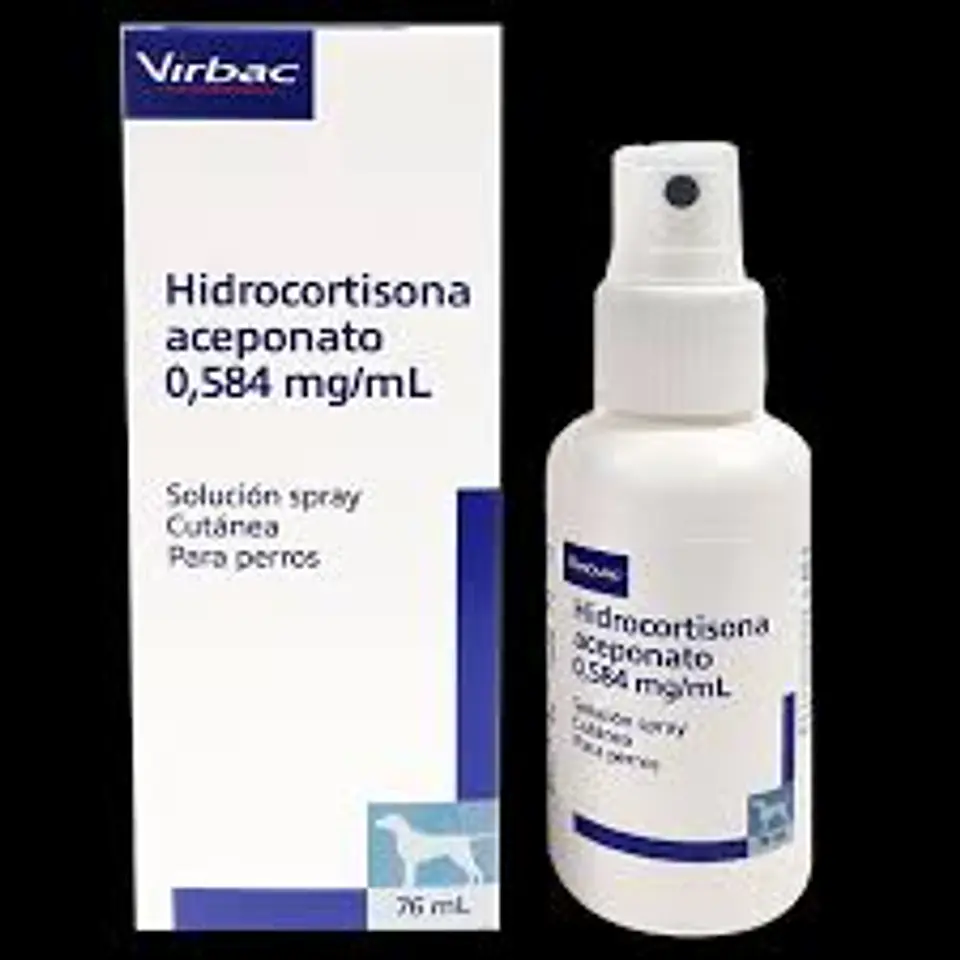 Hidrocortisona aceponato - Spray Dermatológico 2