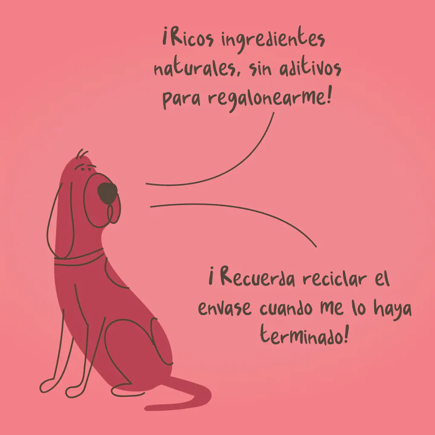 Paté para Perros Winga 7