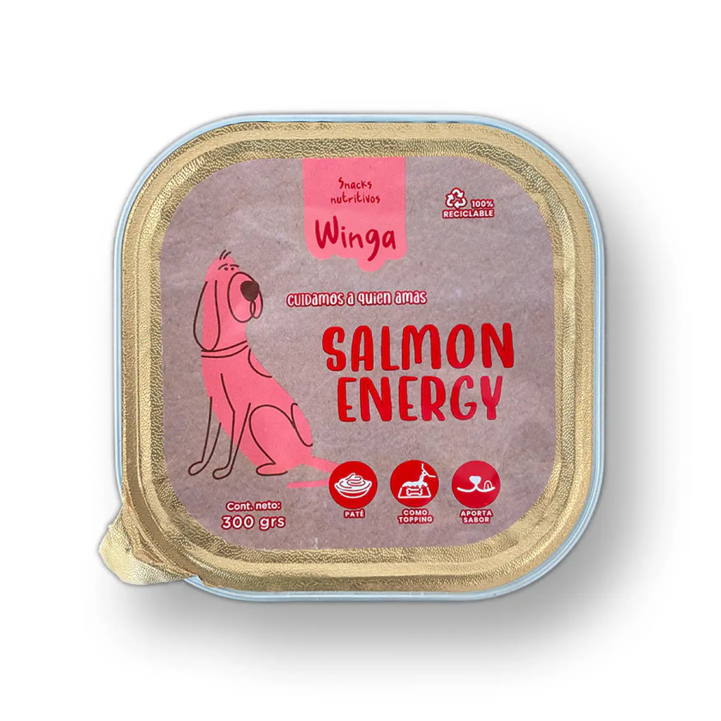 Paté para Perros Winga 6
