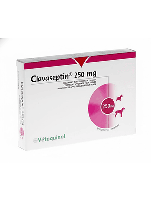 Clavaseptin 250 mg - Comprimidos saborizados