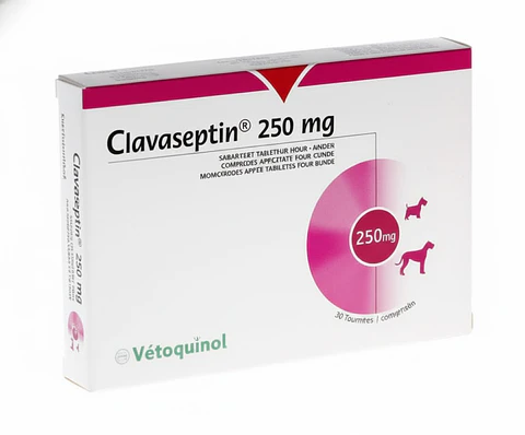 Clavaseptin 250 mg - Comprimidos Saborizados