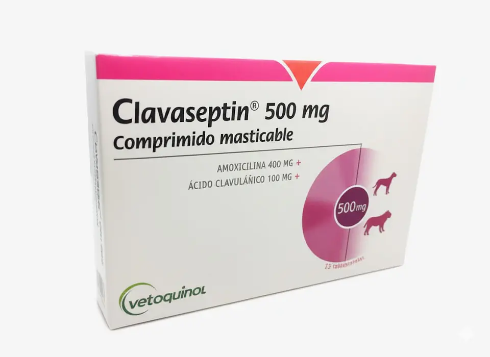 Clavaseptin 500 mg - Comprimidos Saborizados 1