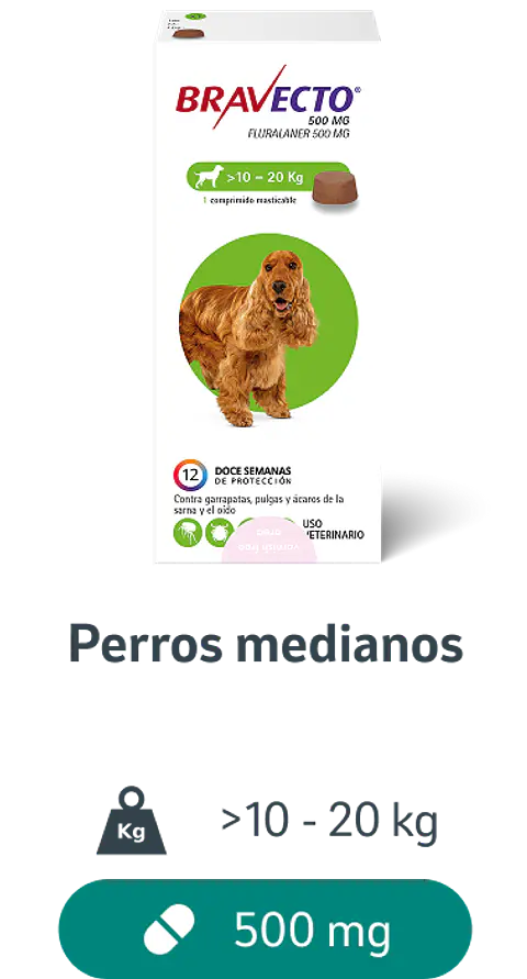 Bravecto 10-20 kg - Comprimido