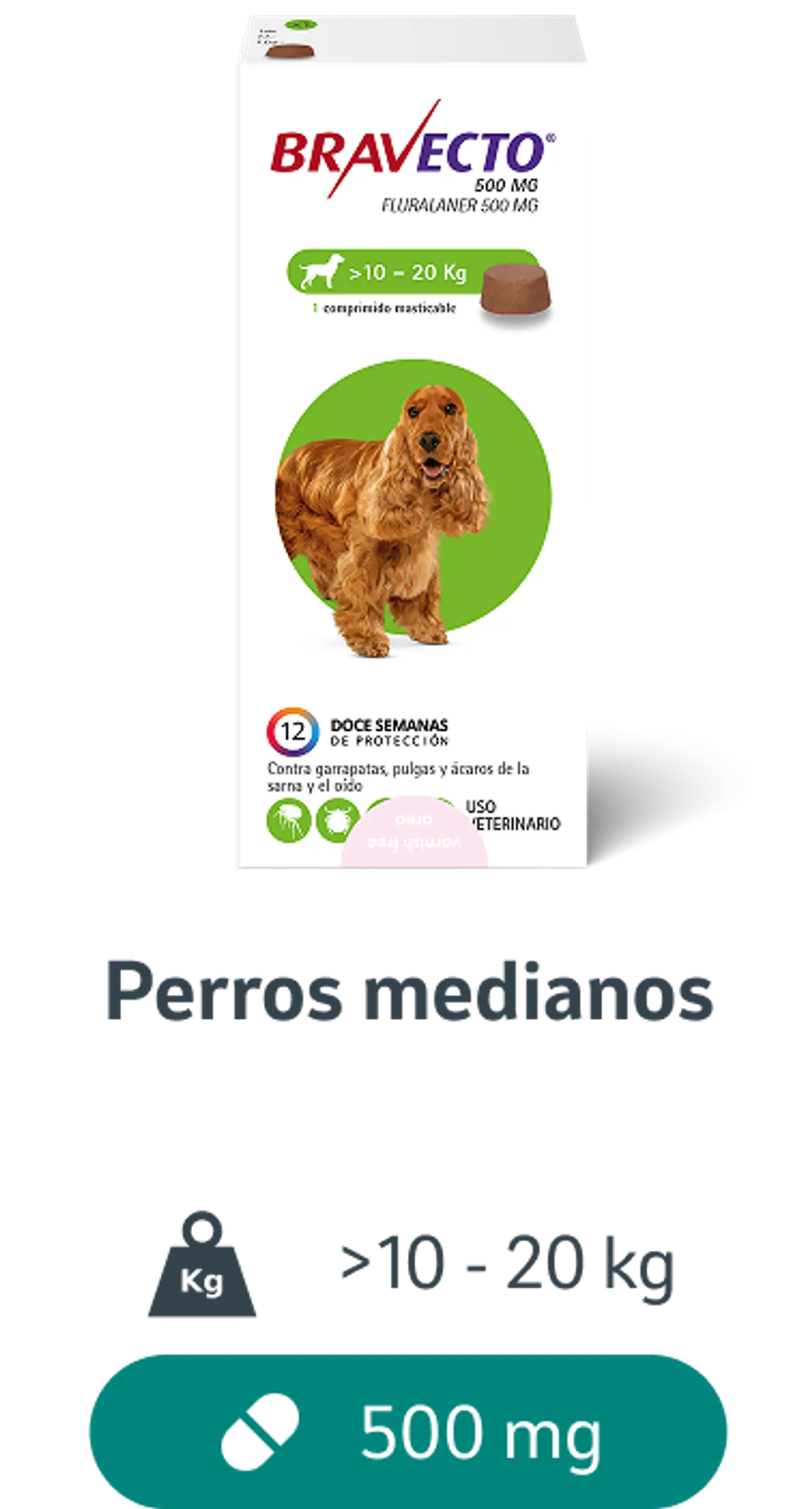 Bravecto 10-20 kg - Comprimido 2