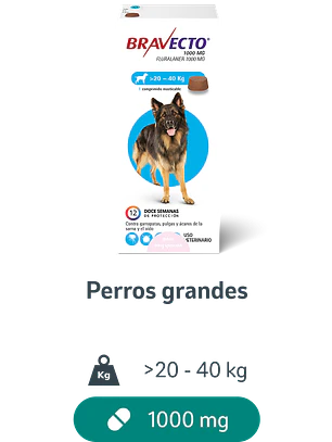 Bravecto 20 - 40 KG