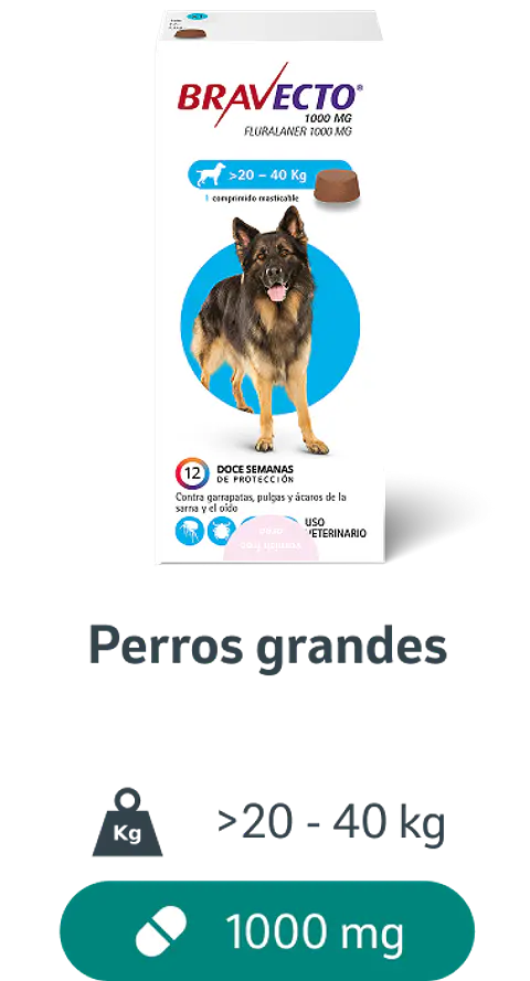 Bravecto 20-40 kg - Comprimido