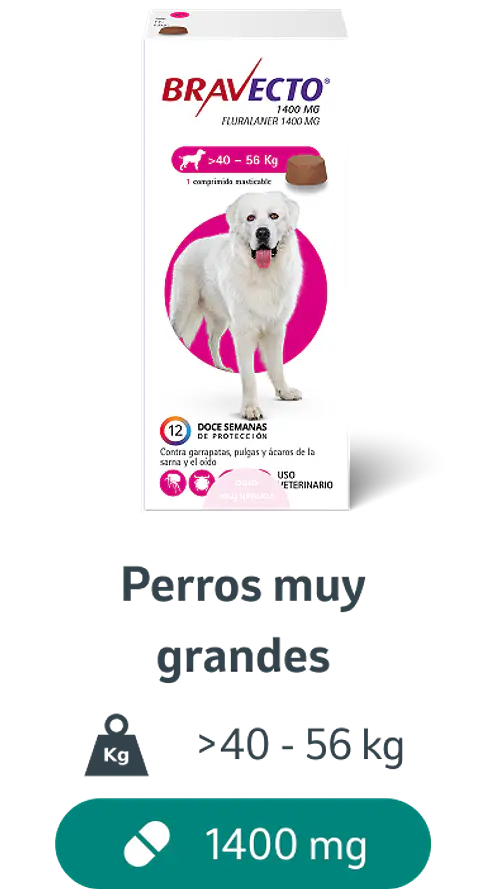 Bravecto 40-56 kg - Comprimido