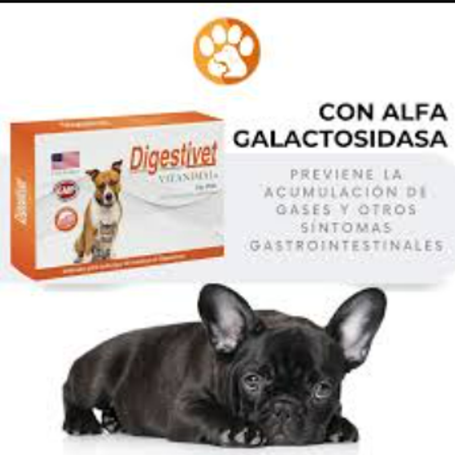 Digestivet - 30 comprimidos 3