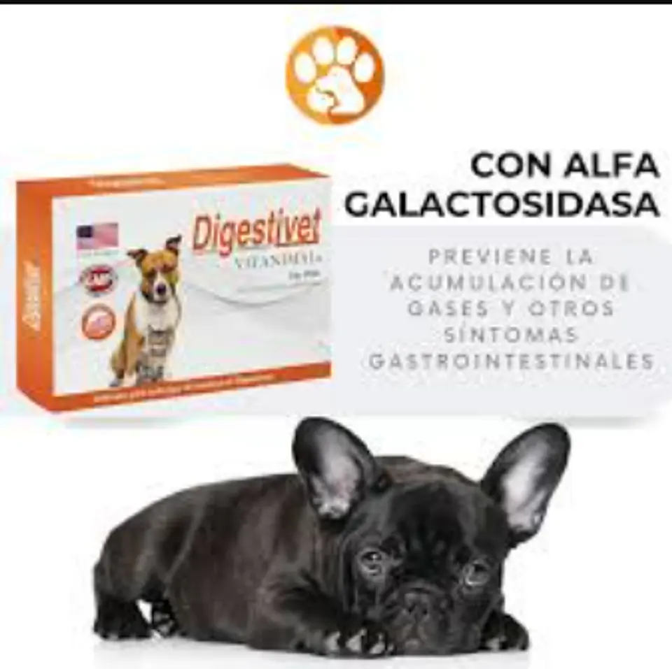 Digestivet 30 - Comprimidos 3