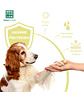 Protector Solar 50 SPF para perros y gatos - thumbnail 3