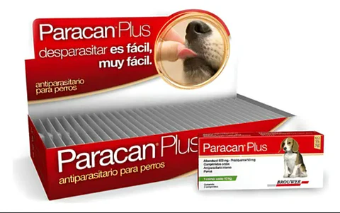 Paracan Plus - Comprimidos Saborizados