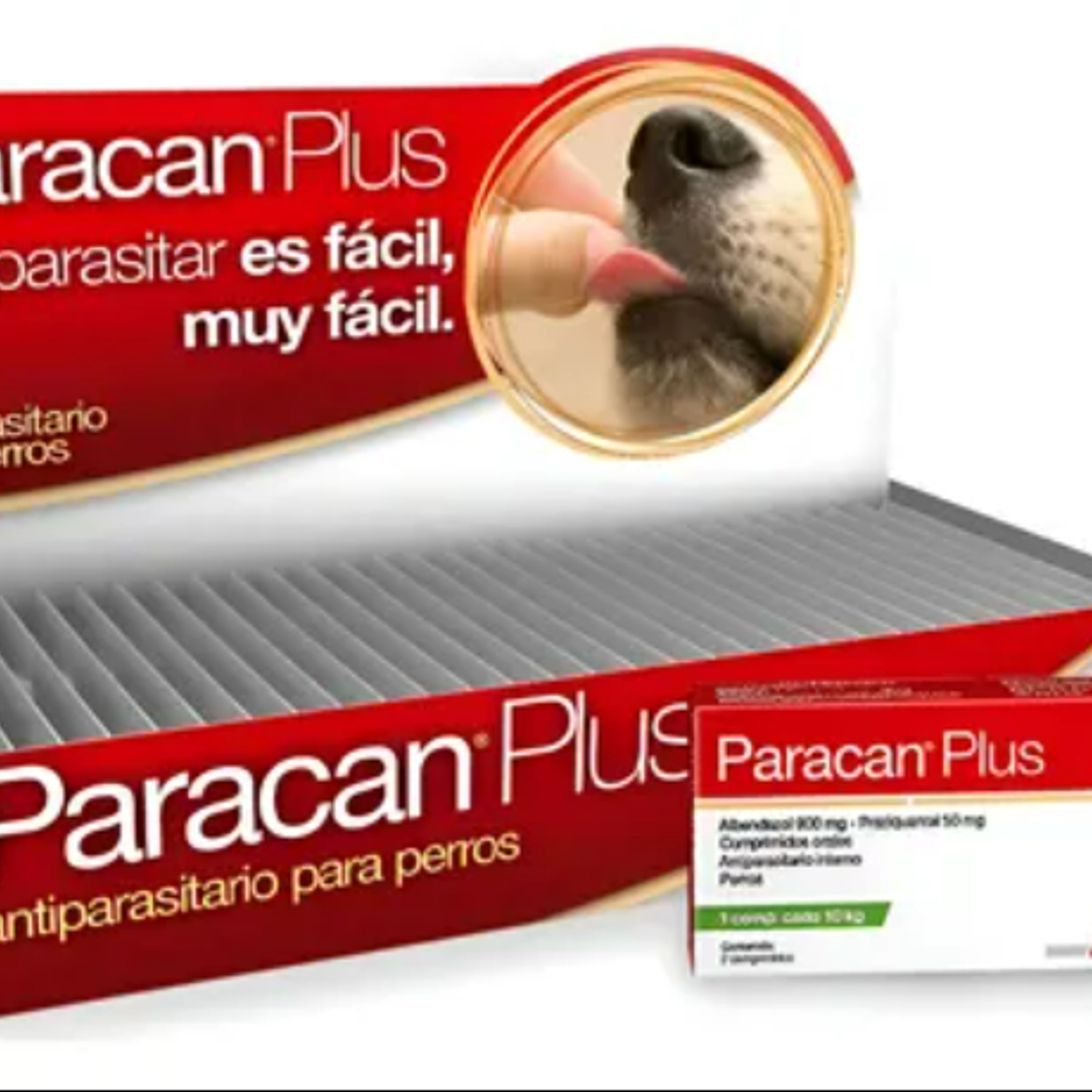 Paracan Plus - Comprimidos saborizados 1