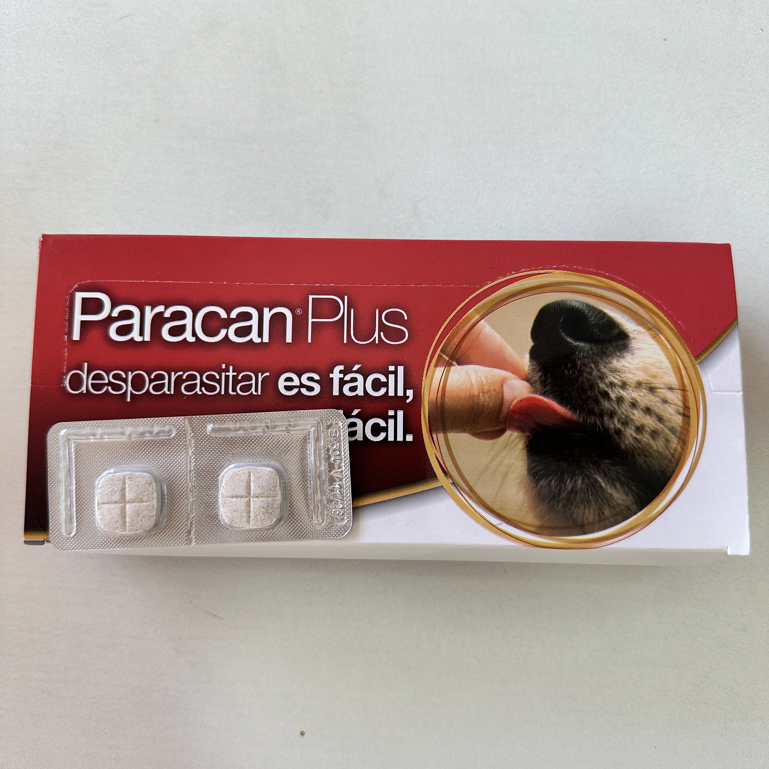 Paracan Plus - Comprimidos saborizados 2