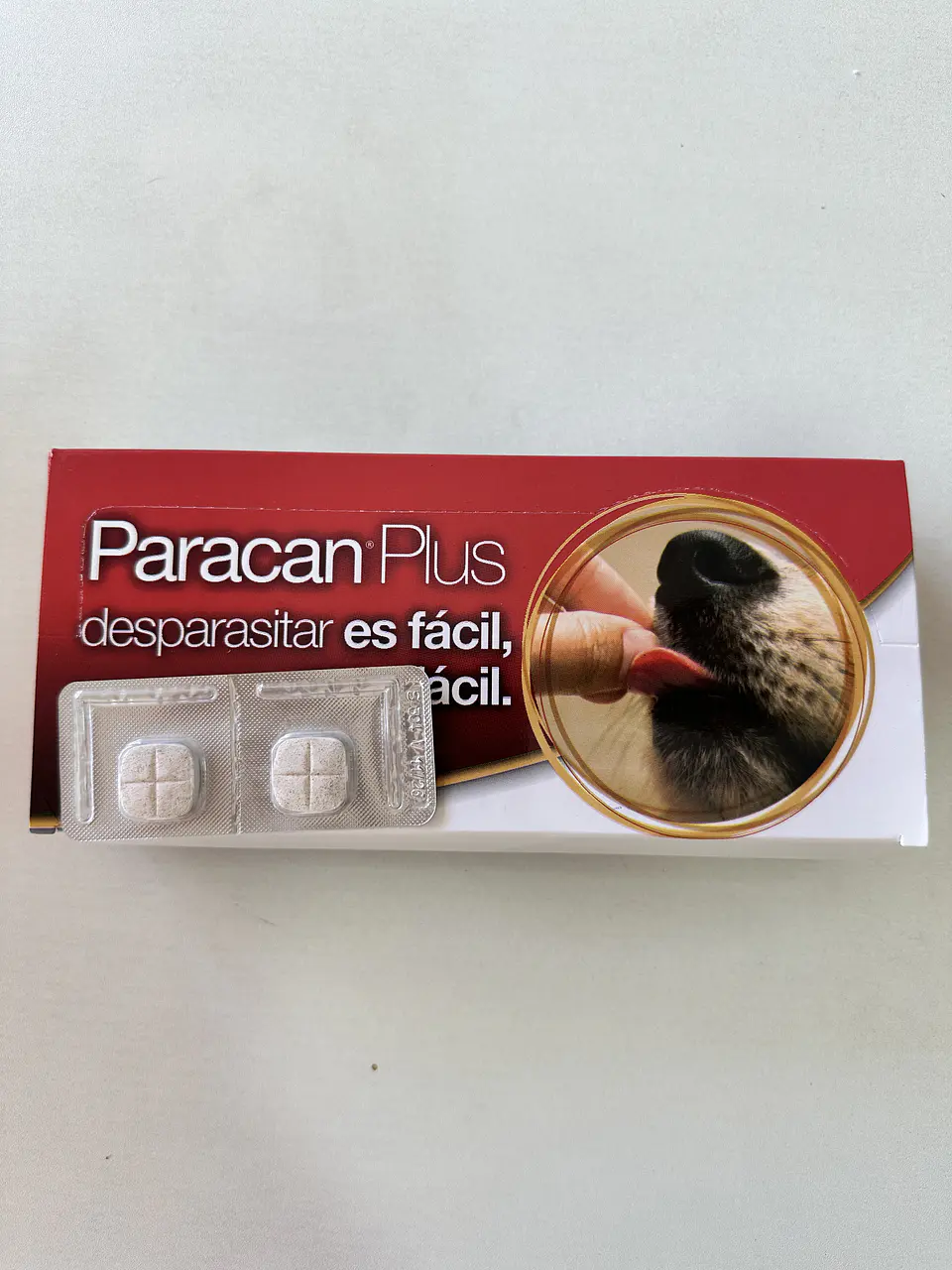 Paracan Plus - Comprimidos Saborizados 2