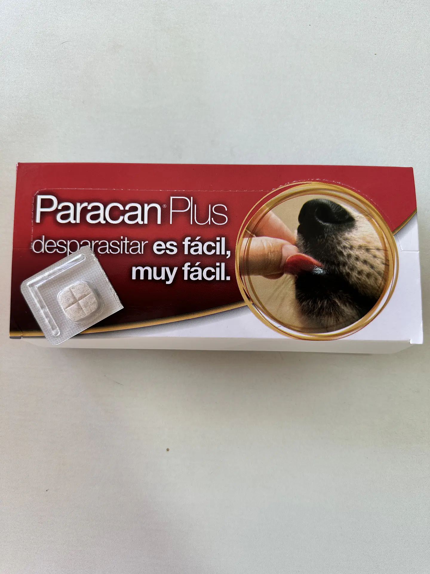 Paracan Plus - Comprimidos Saborizados 3