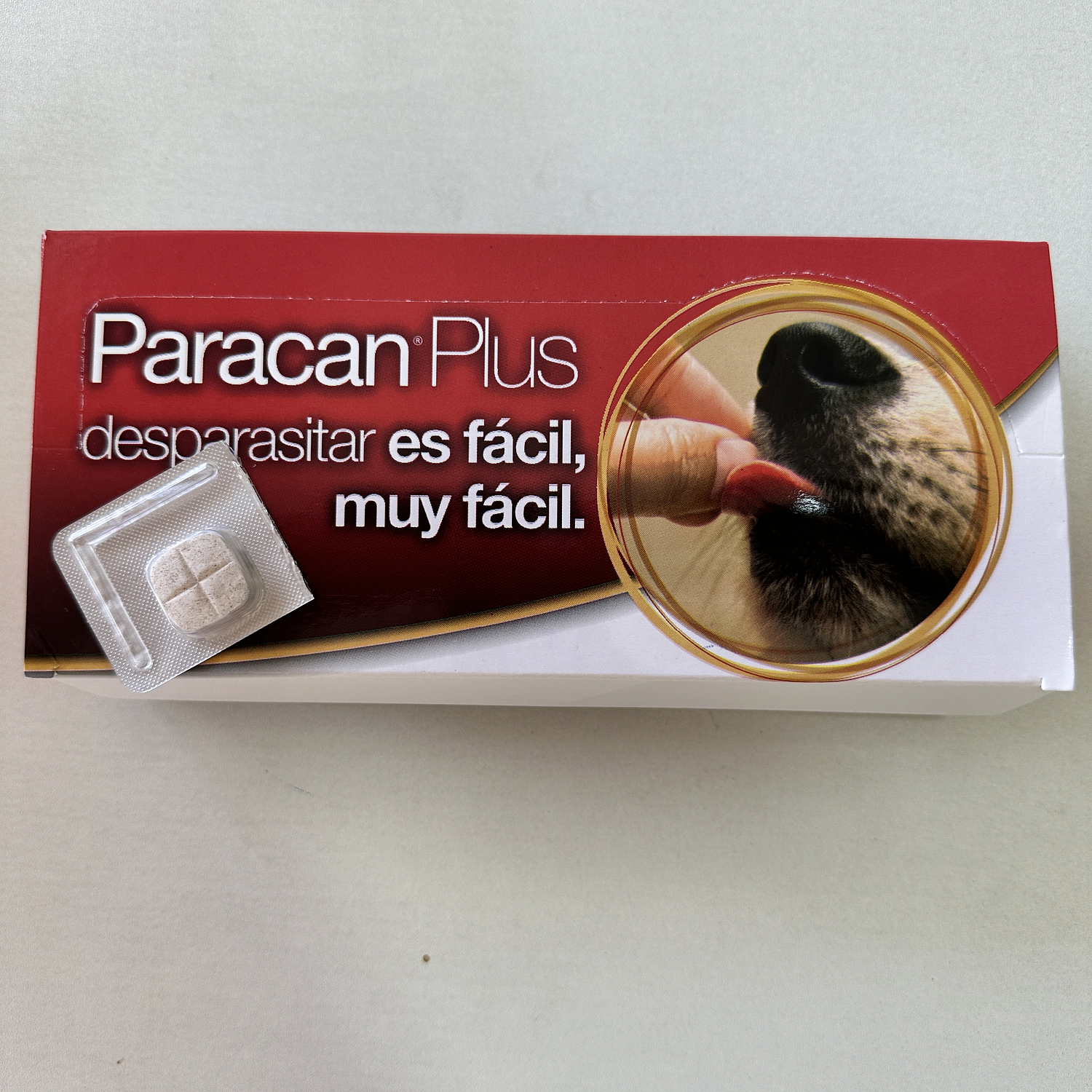 Paracan Plus - Comprimidos saborizados 3