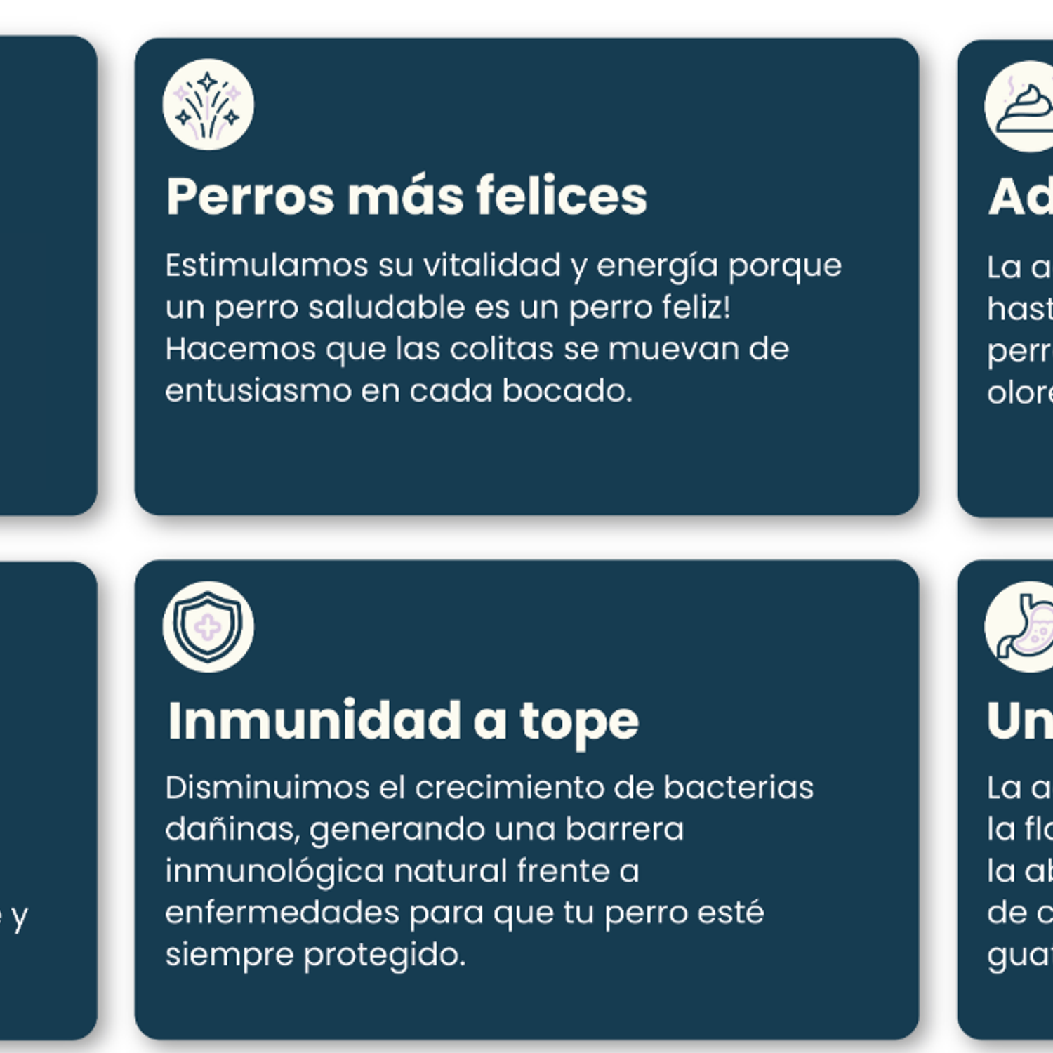 PetFamily Vacuno y Pollo - Raza Pequeña 4