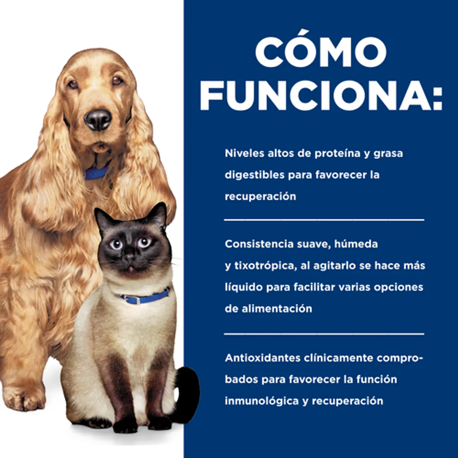Lata a/d Urgent Care 5,5 oz para gatos y perros 3