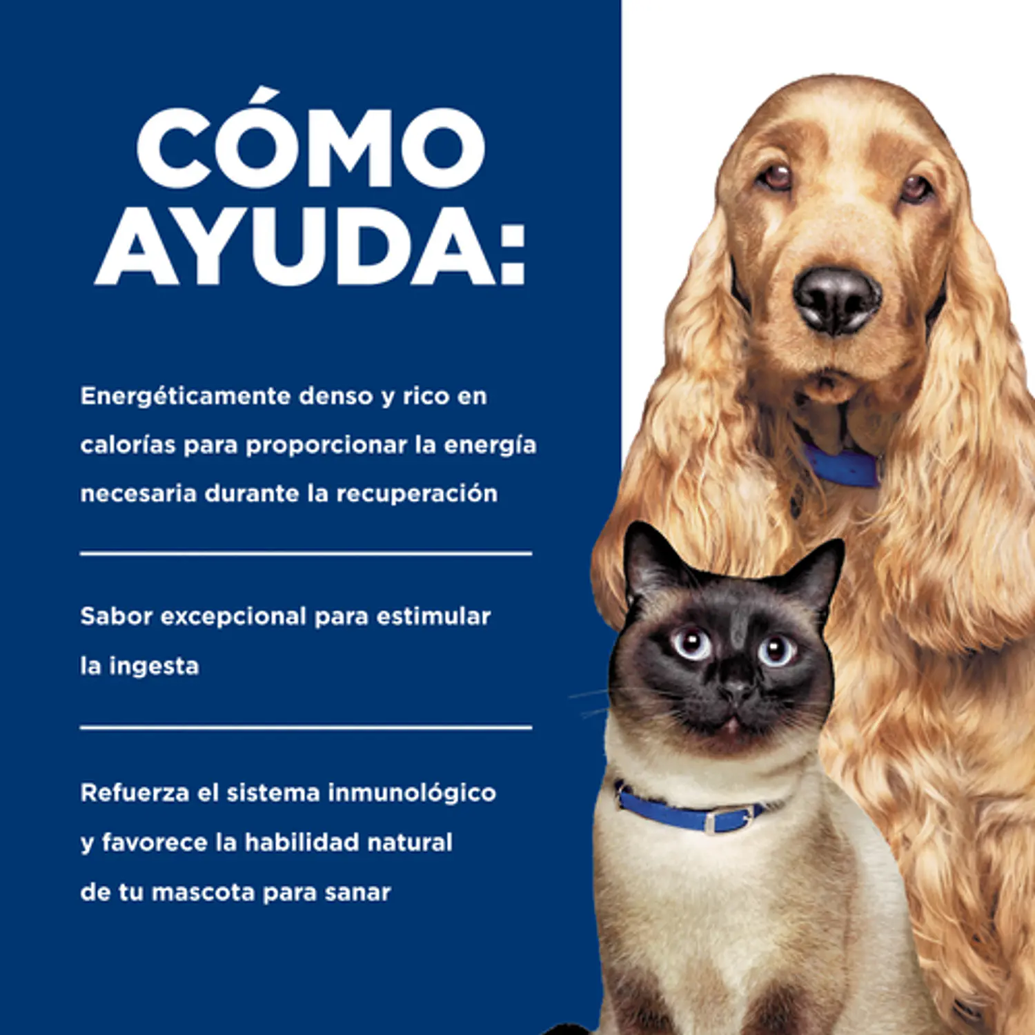 Lata a/d Urgent Care 5,5 oz para gatos y perros 2