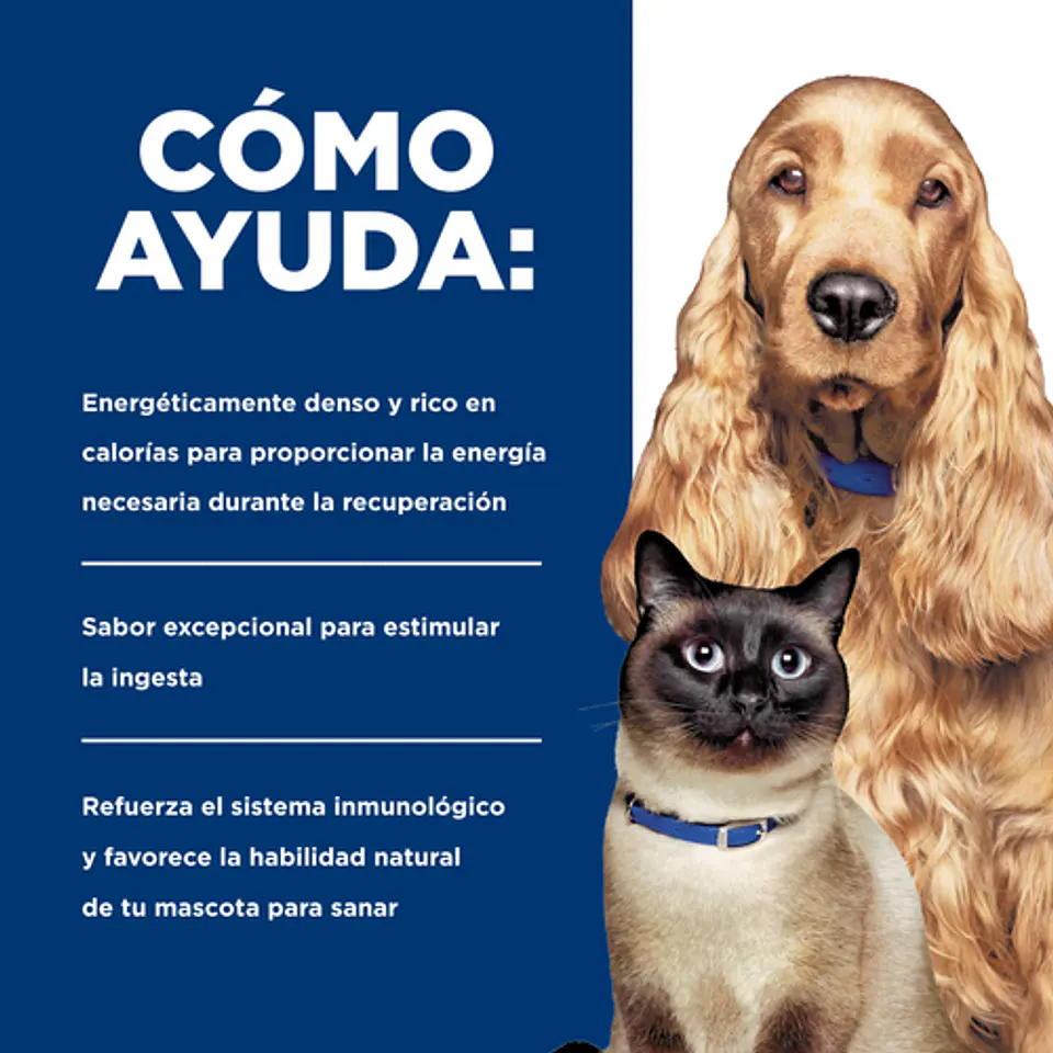 Lata a/d Urgent Care 5,5 oz para gatos y perros 2