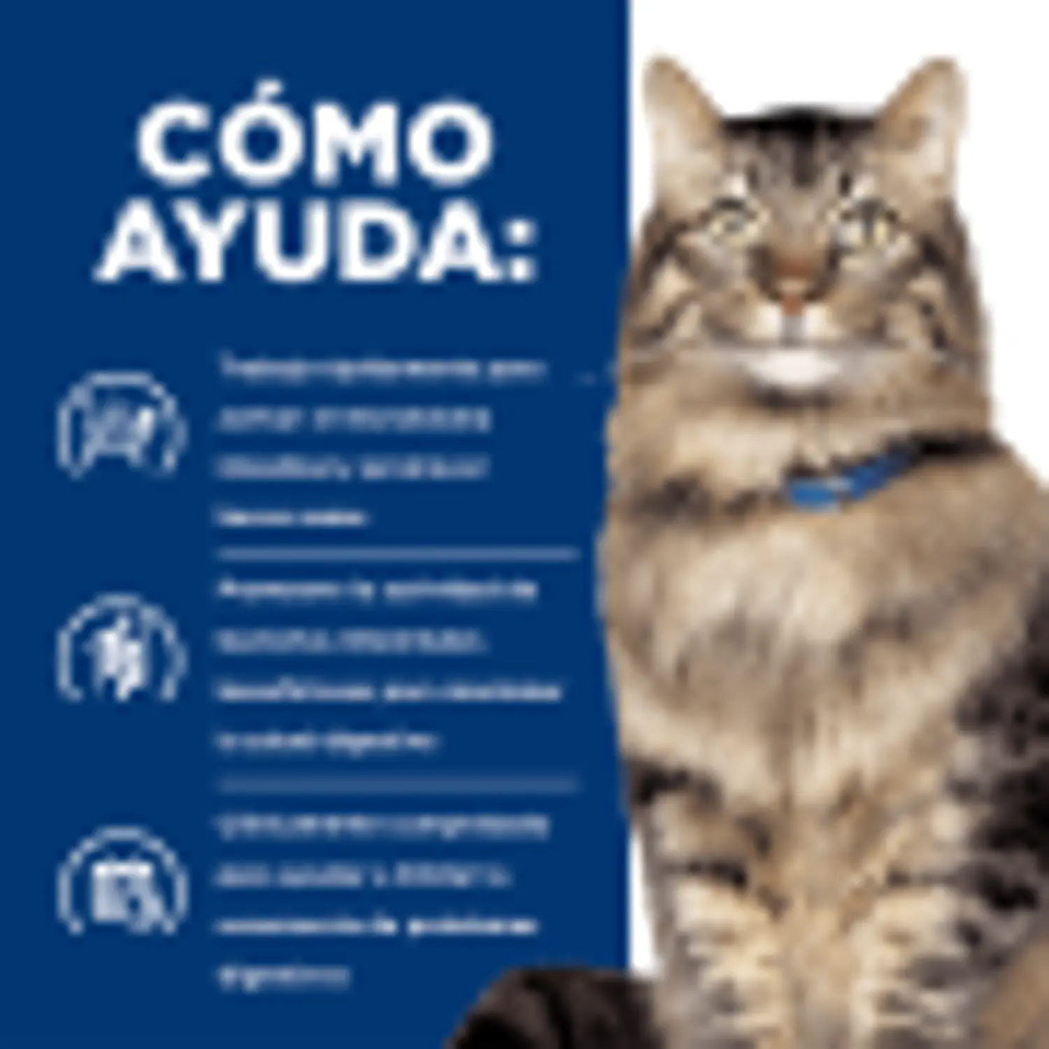 Feline Gastrointestinal Biome Lata (2,9oz) 2