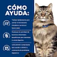 Feline Gastrointestinal Biome Stress Lata (2,9oz) - thumbnail 2