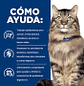 Feline Gastrointestinal Biome Lata (2,9oz) - Miniatura 2