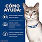 Feline k/d Kidney Care Paté With Chicken Lata (5,5oz) - thumbnail 2