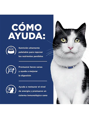Feline i/d Digestive Care 1,8 kg