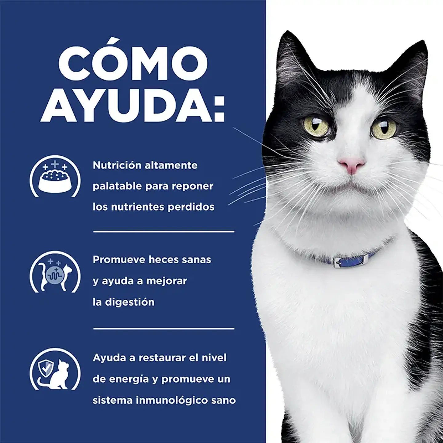 Feline i/d Digestive Care 1,8 kg 2