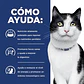 Feline i/d Digestive Care 1,8 kg - Miniatura 2