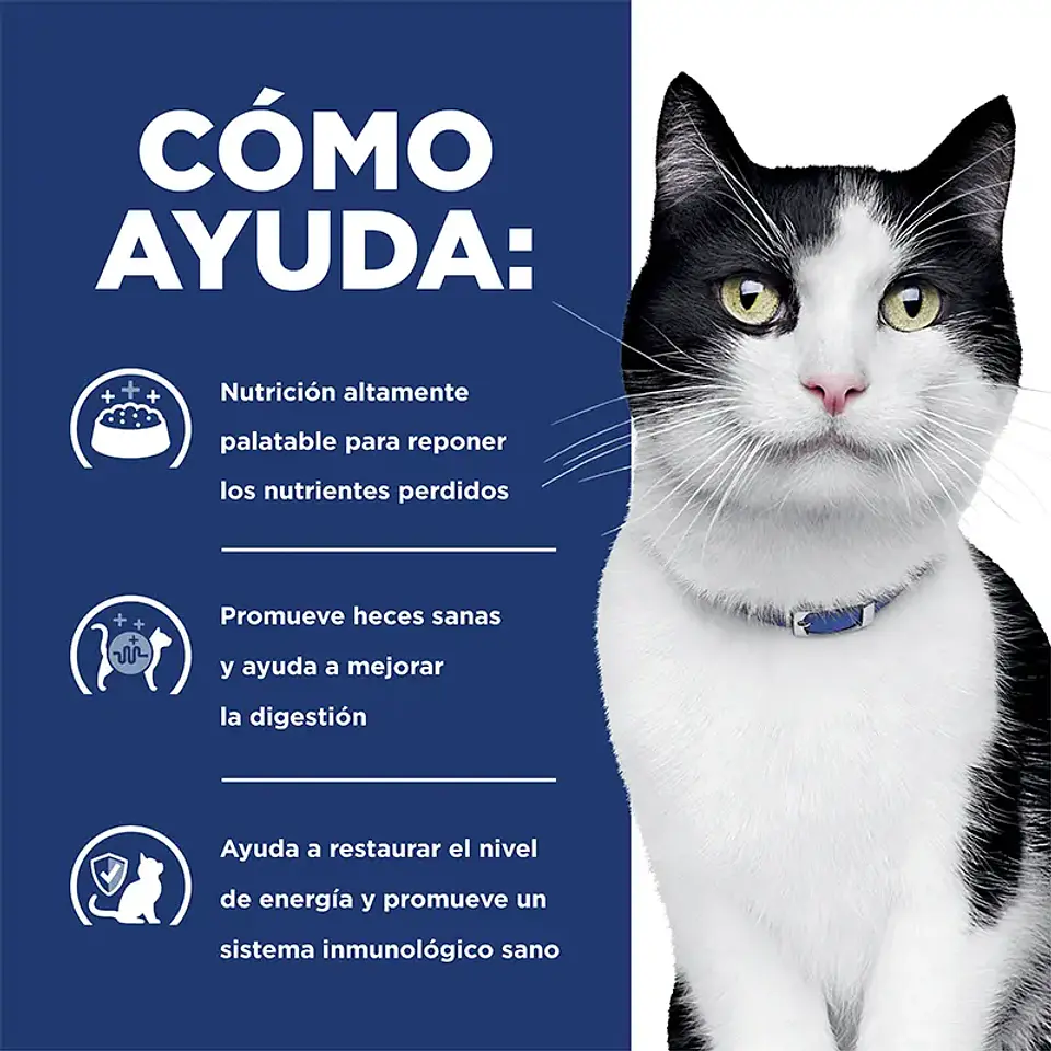 Feline i/d Digestive Care 1,8 kg 2