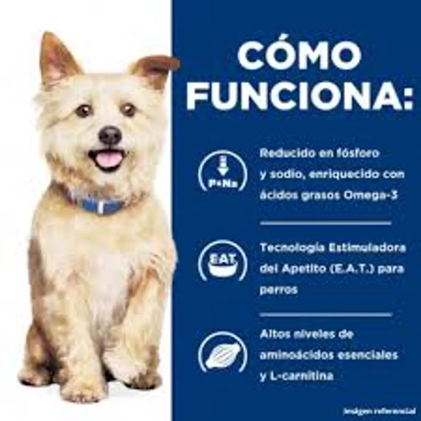 Canine k/d Kidney Care 1,5 kg 2