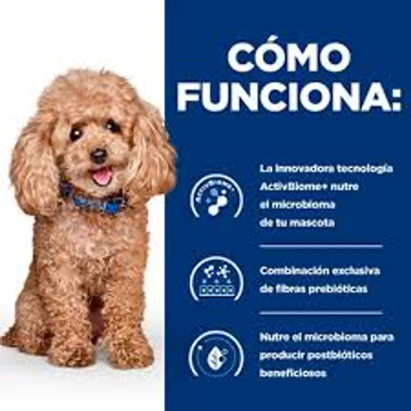 Canine Gastrointestinal Biome Small Bites 1,5 kg 2
