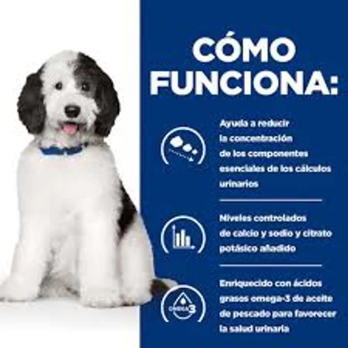 Canine c/d Urinary Multicare 1,5 kg 2