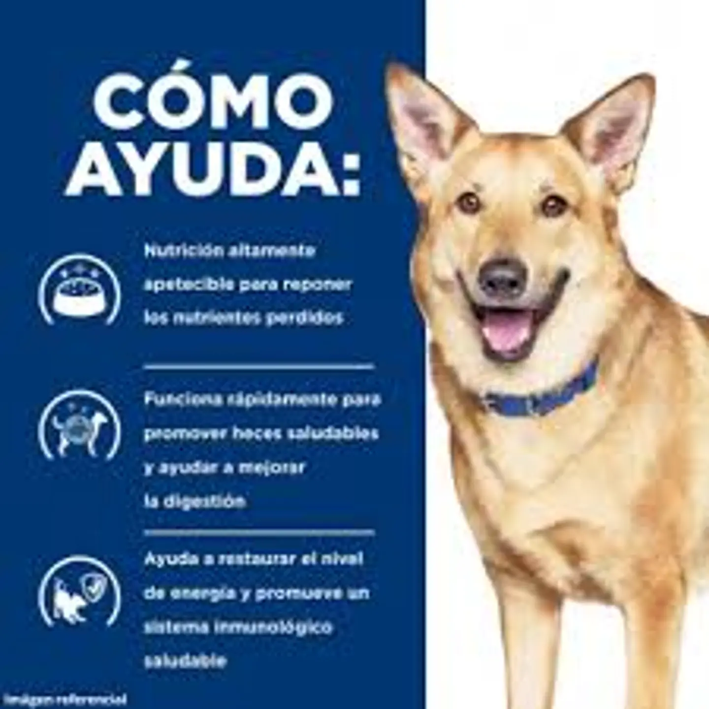 Canine i/d Digestive Care 3,85 kg 3