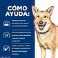 Canine i/d Digestive Care 3,85 kg - Miniatura 3