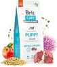 Brit Care Hypo Puppy Lamb - Miniatura 3