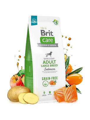 Brit Care GF Adult Large Breed Salmon 3 Kg
