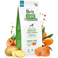 Brit Care GF Adult Large Breed Salmon 3 Kg - Miniatura 1