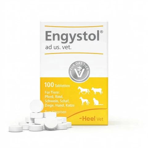 Engystol Vet 100 - Tabletas