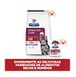 Feline i/d Digestive Care Gato / Kitten 1.81 kg - Miniatura 3