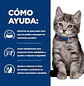 Feline i/d Digestive Care Gato / Kitten 1.81 kg - Miniatura 2