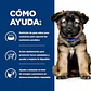 i/d Canine Puppy Digestive Care 3.8 kg - thumbnail 2