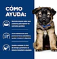 i/d Canine Puppy Digestive Care 3.8 kg - Miniatura 2