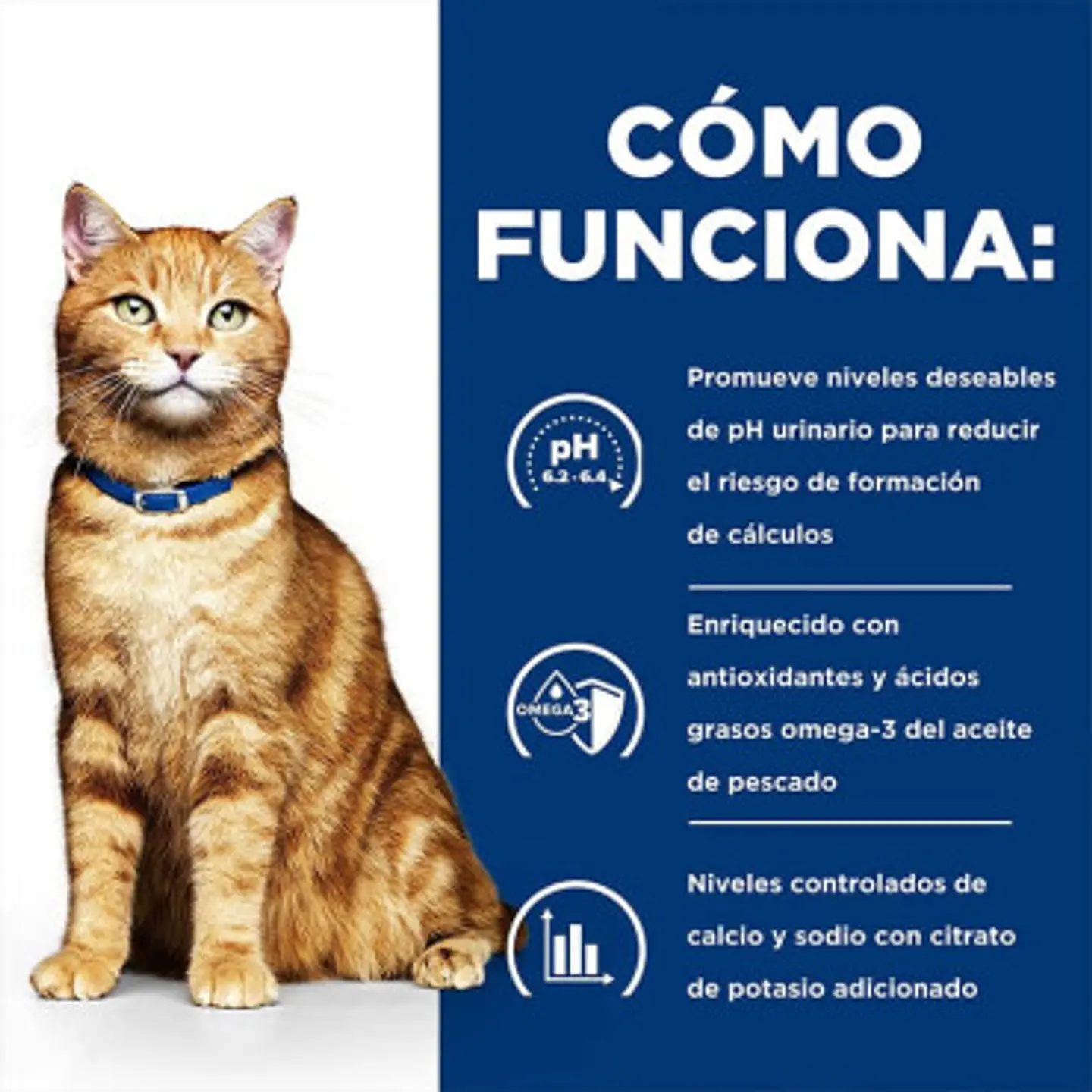 Feline c/d Multicare Feline Urinary Care 1.81 kg 2
